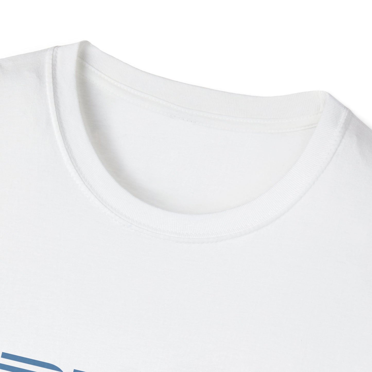 IBDSM - IDM Parody Tee