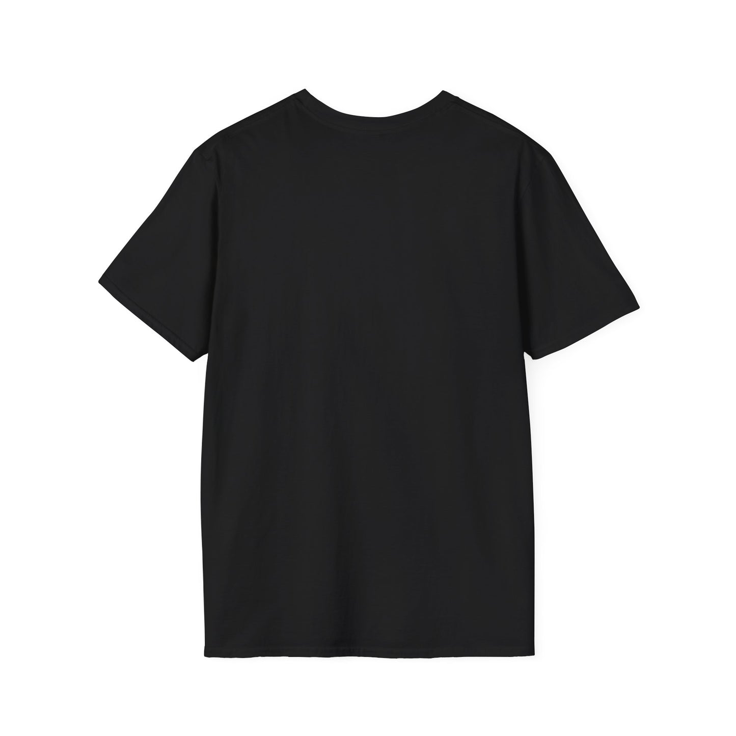 IBDSM - IDM Parody Tee